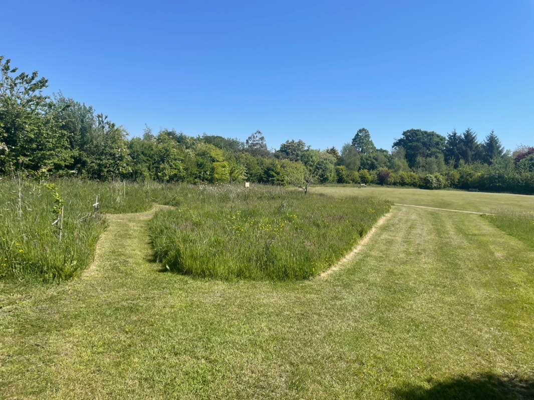 walking near me in Tiptoe Green in spring