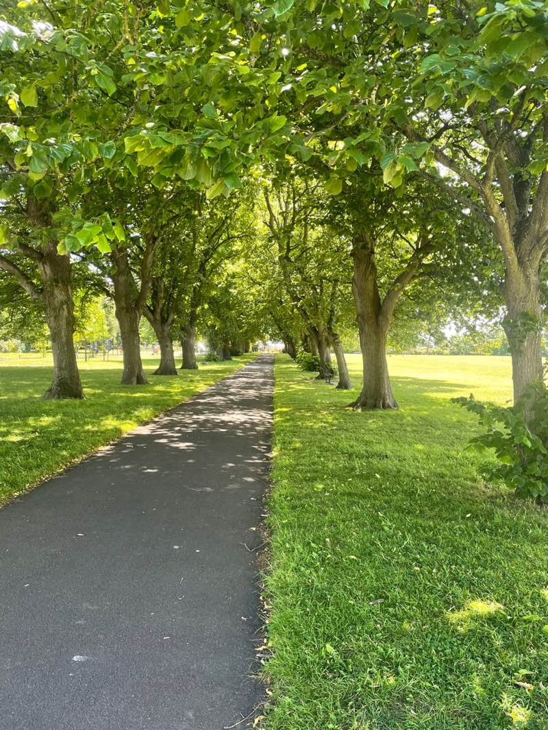 walking near me in New Zealand Gardens in spring