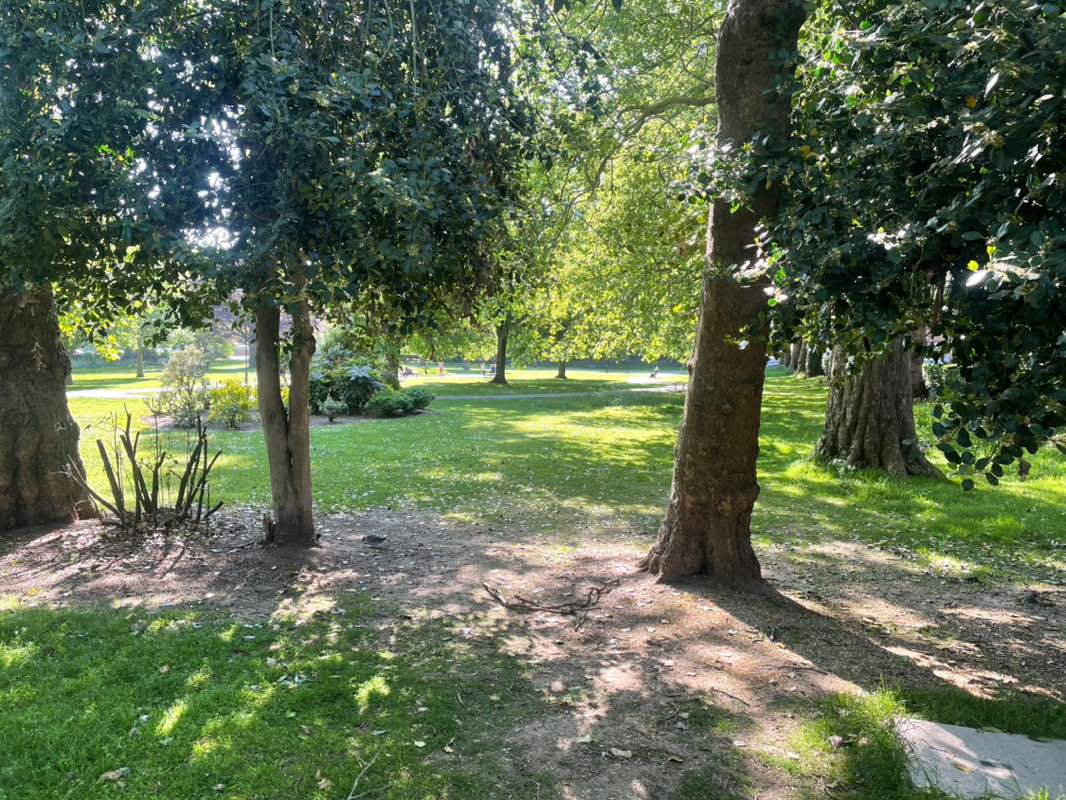 walking near me in Queen's Park in spring