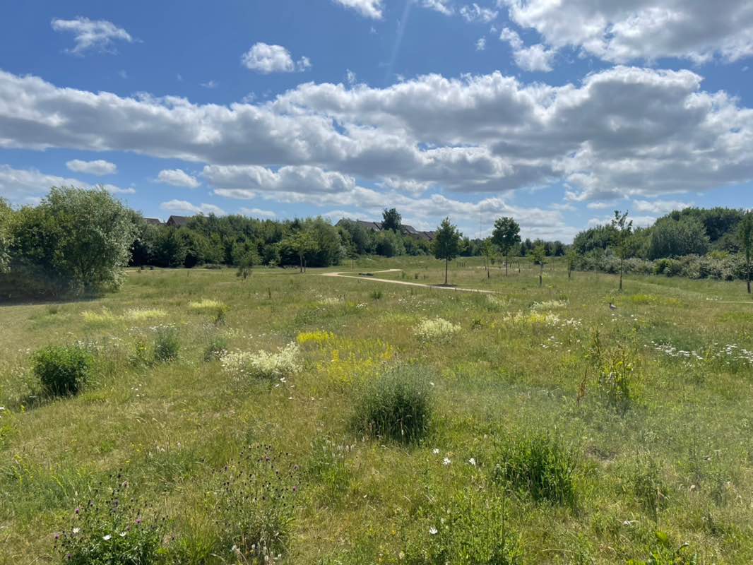 walking near me in Urban Park in summer