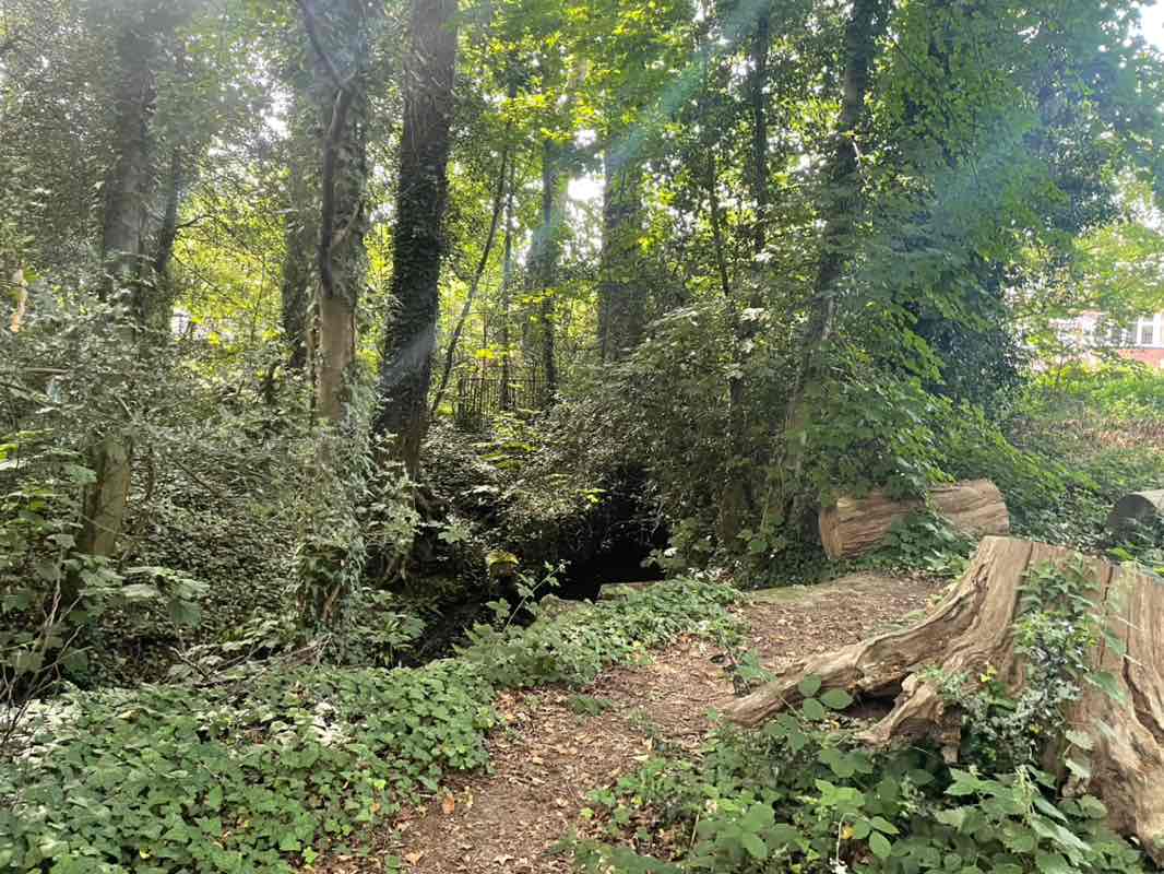 walking near me in Southampton Common in summer