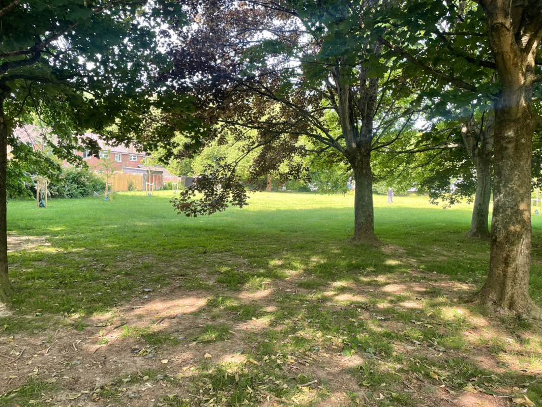 walking near me in Selborne Drive Green in summer