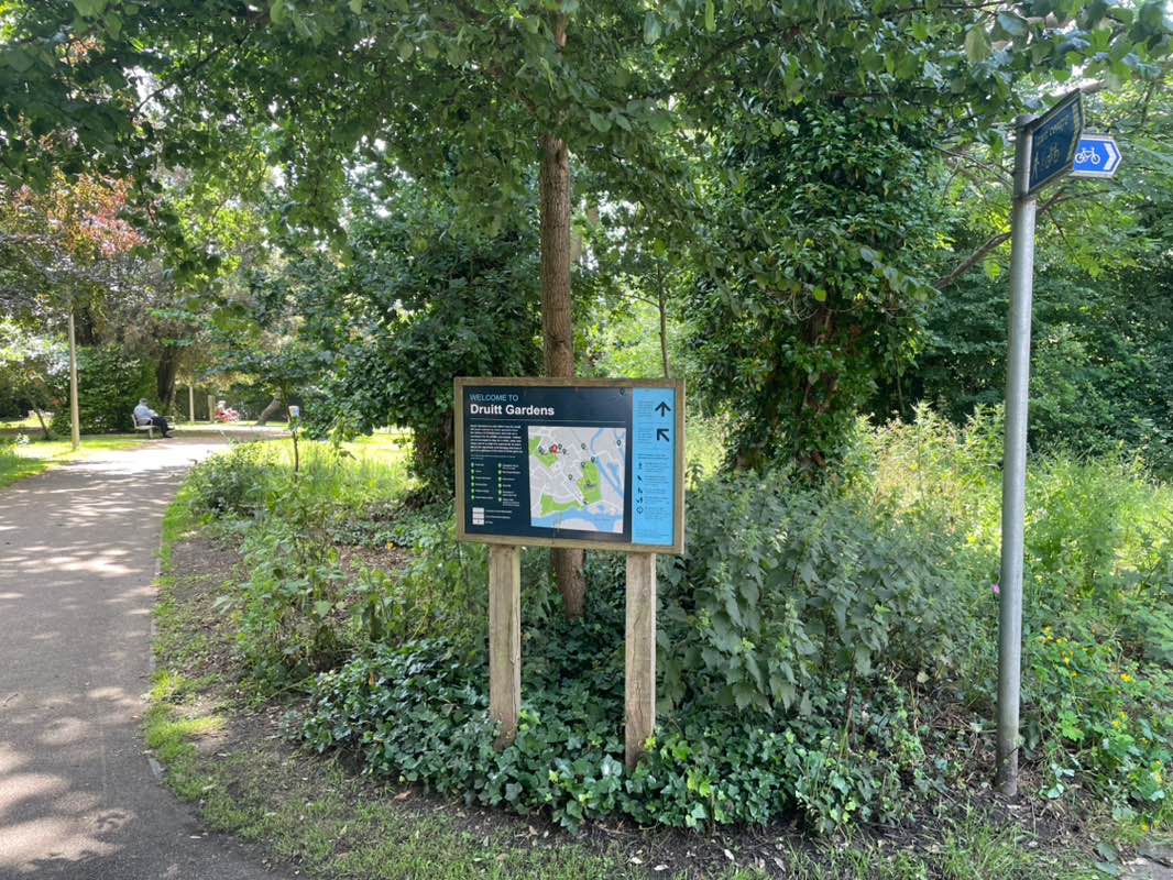 walking near me in Druitt Gardens in summer