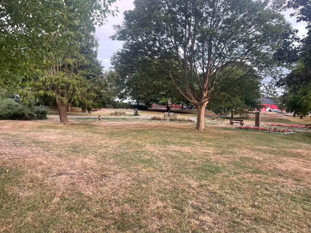 walking near me in Mayor's Garden in autumn