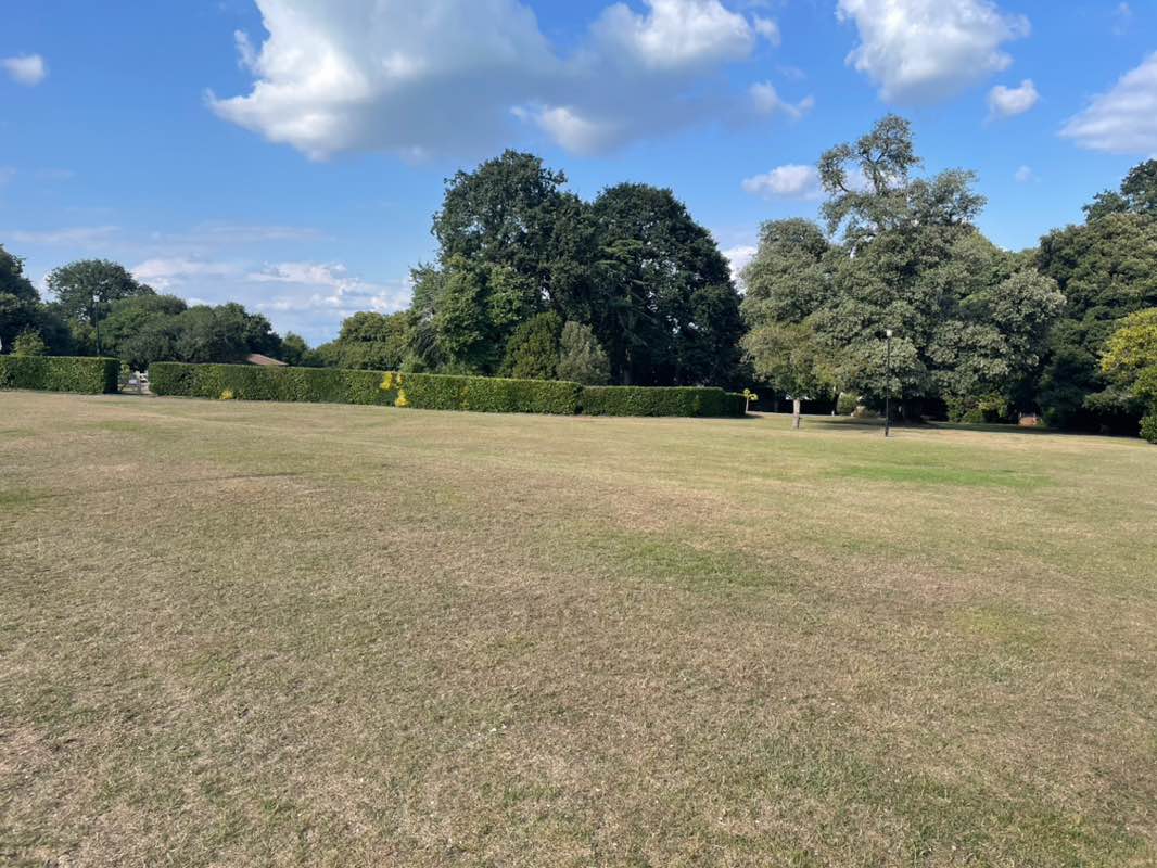 walking near me in Northwood Park in autumn
