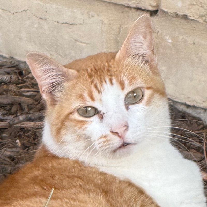 Kobe 🏃🏻‍♀️