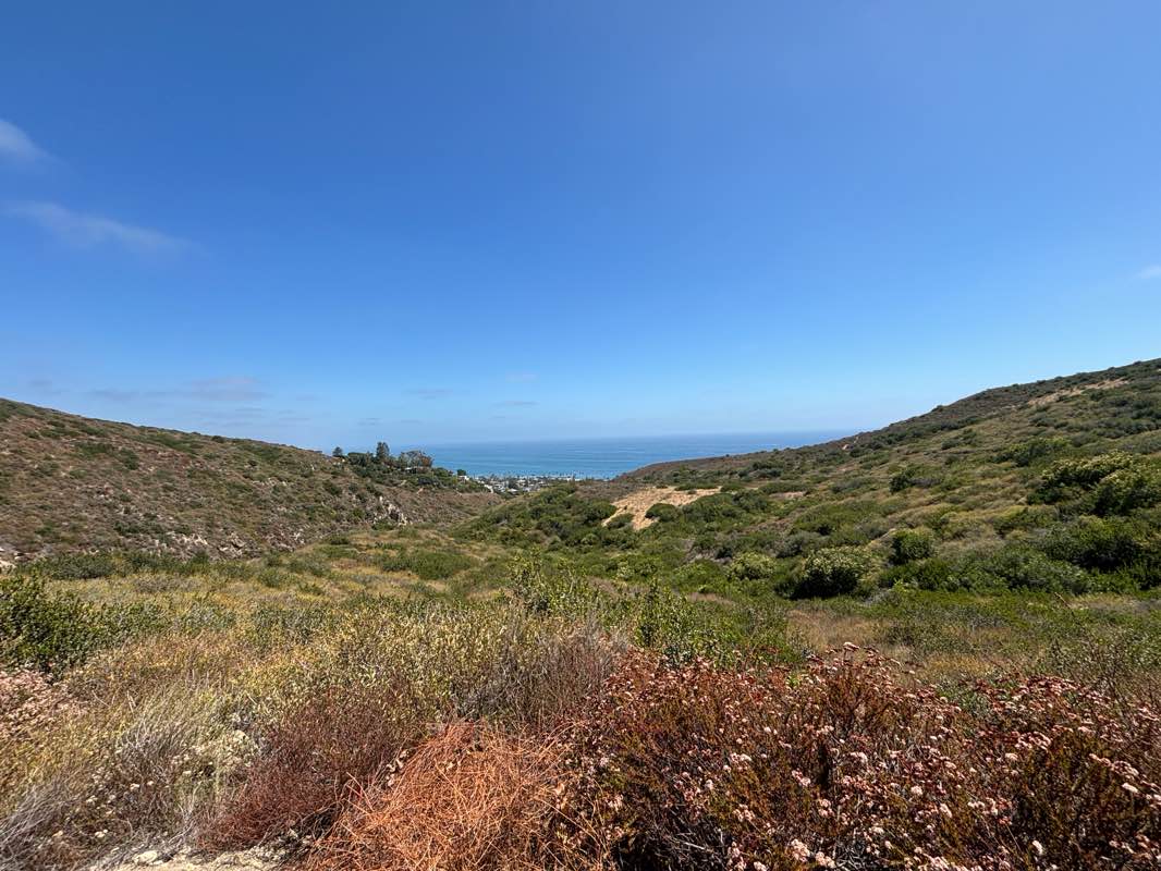 walking near me in Laguna Coast Wilderness Park in summer