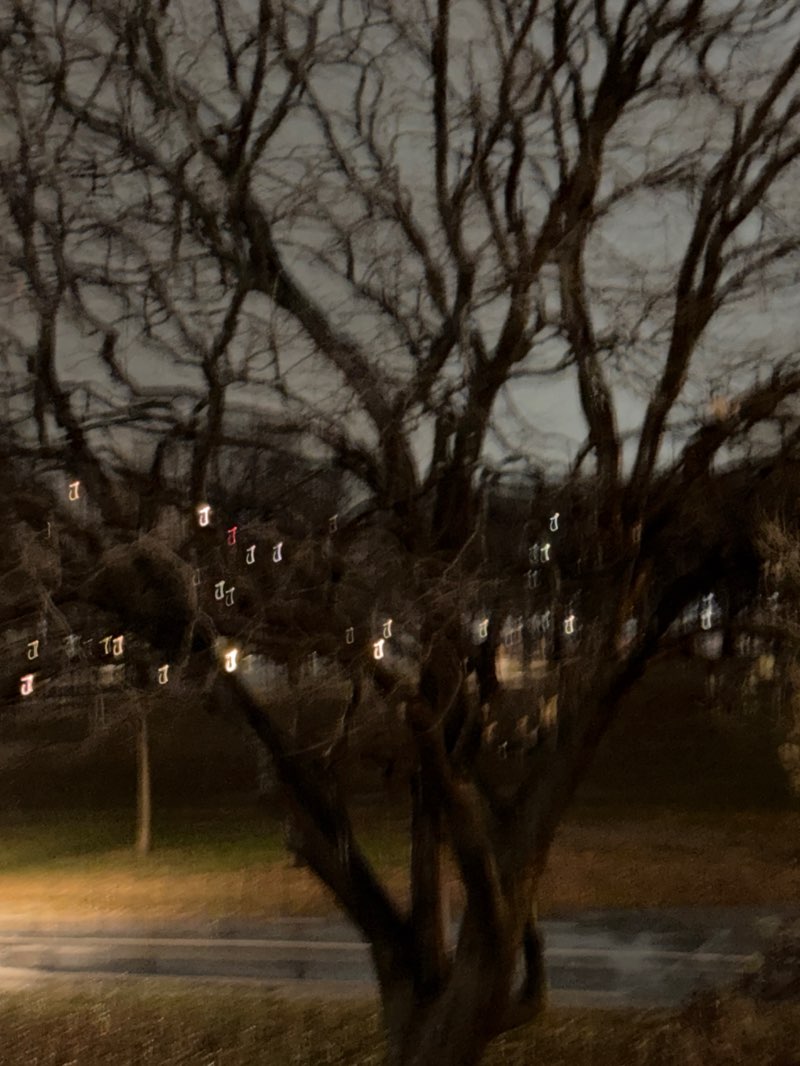 walking near me in Queensbridge Park in winter