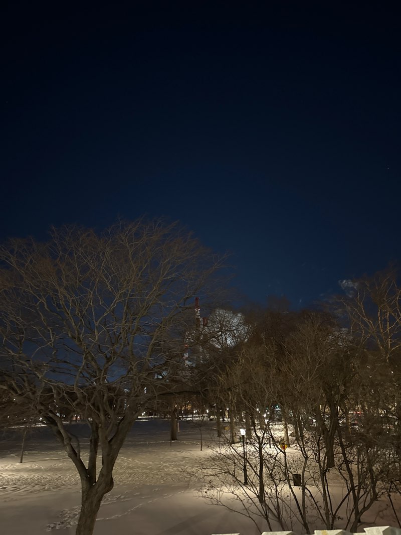 walking near me in Queensbridge Park in winter
