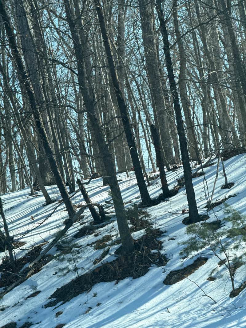 walking near me in Locust Shade Park in winter