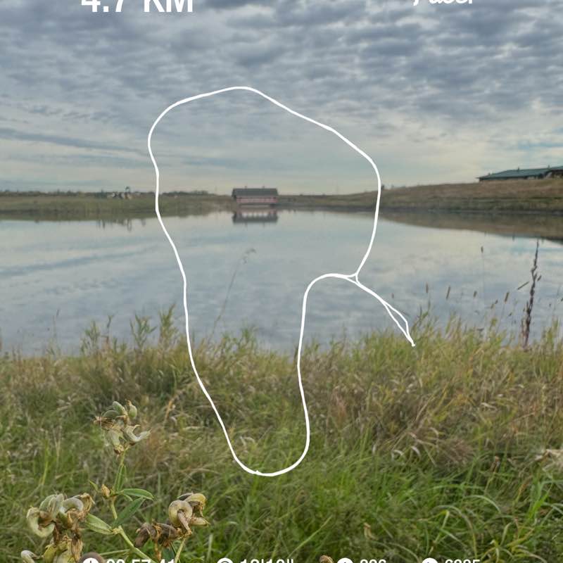 Madison 💕🇨🇦🍁🏔️ post 1