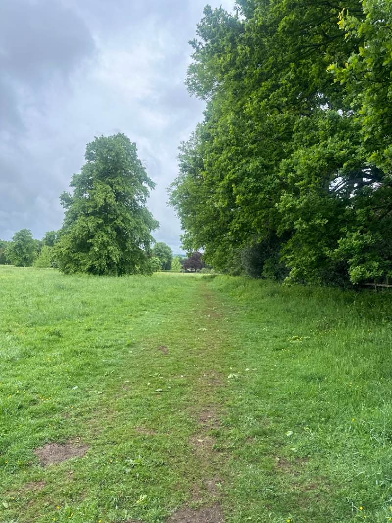 walking near me in Gibson Park in winter