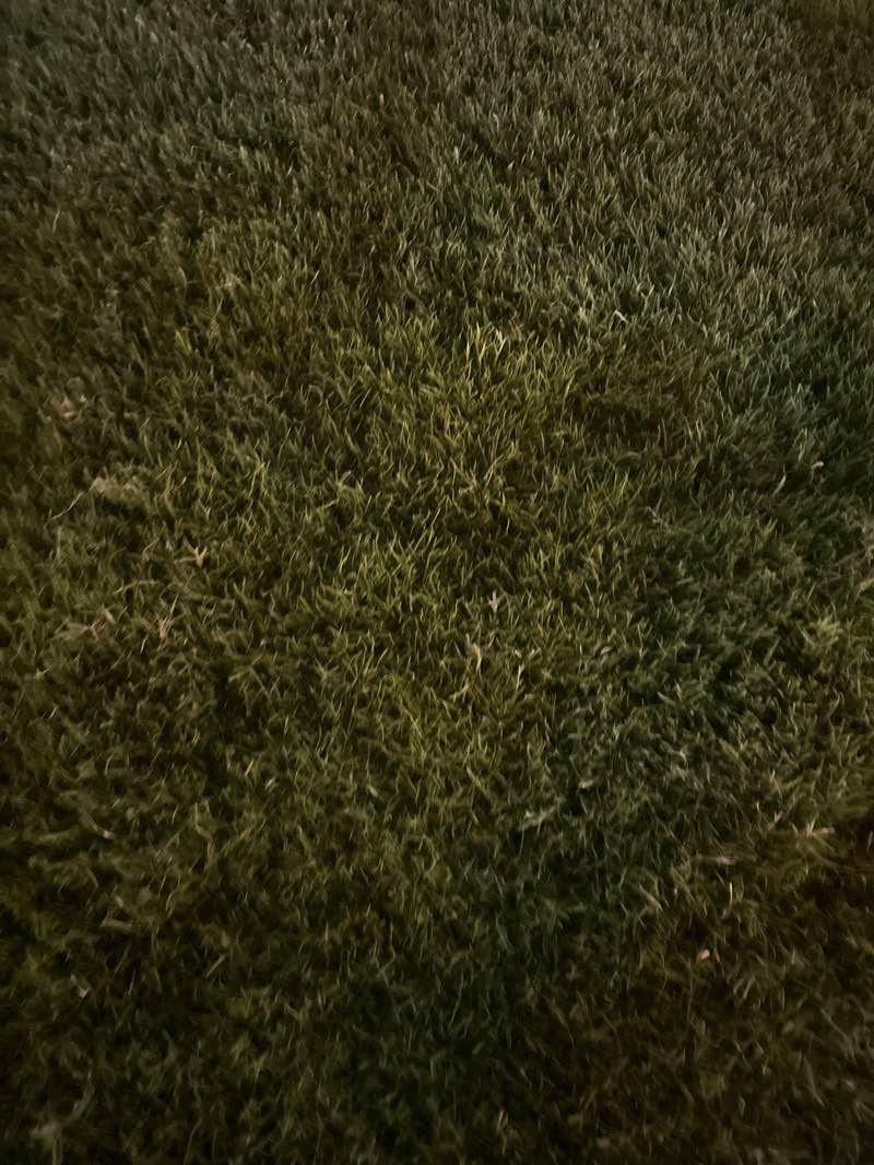 walking near me in Mesaieed Park in spring