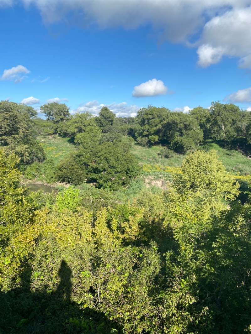 walking near me in Guadalupe River State Park in winter