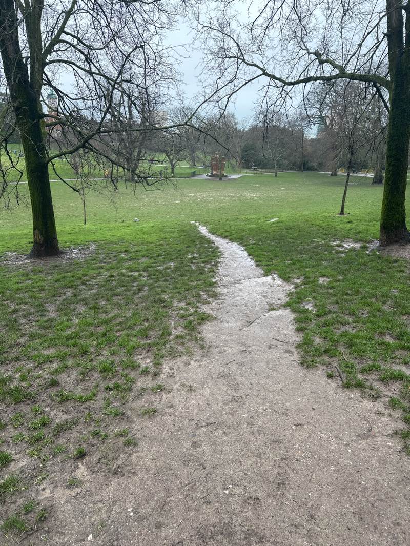 walking near me in Queen's Park in winter