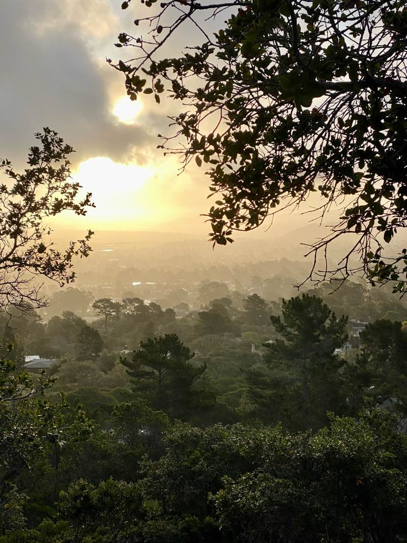 walking near me in Via Paraiso Park in winter
