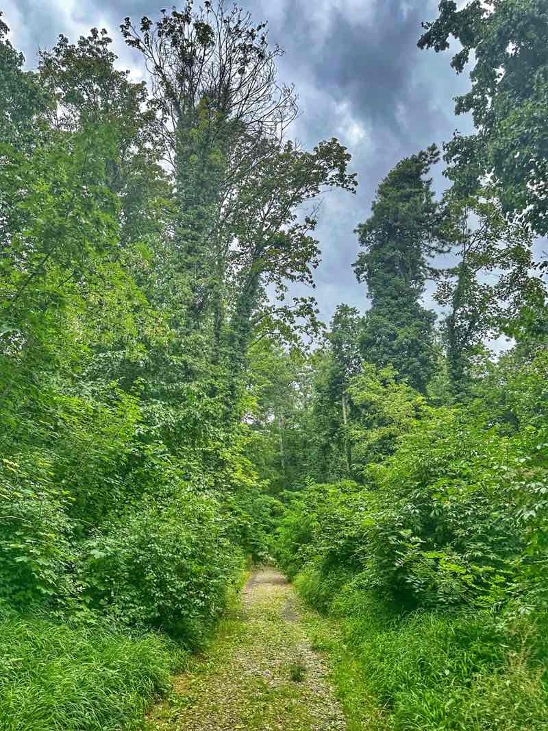 walking near me in Hofgarten Würzburg in winter