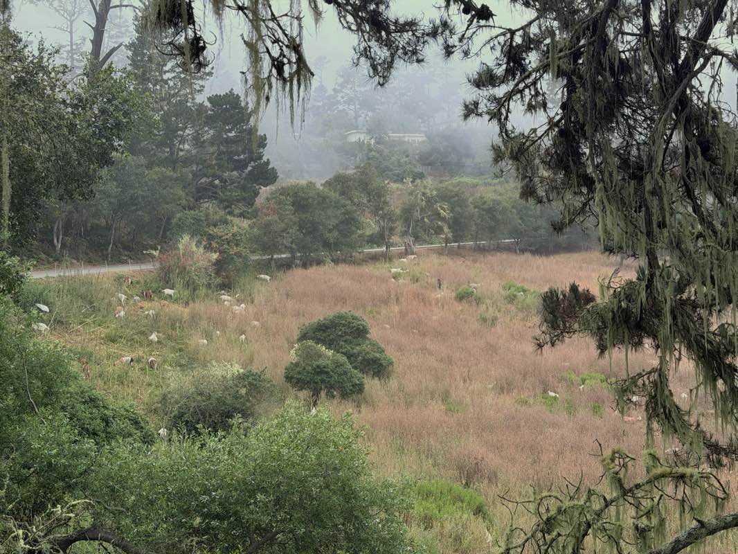 walking near me in Quarry Park in summer