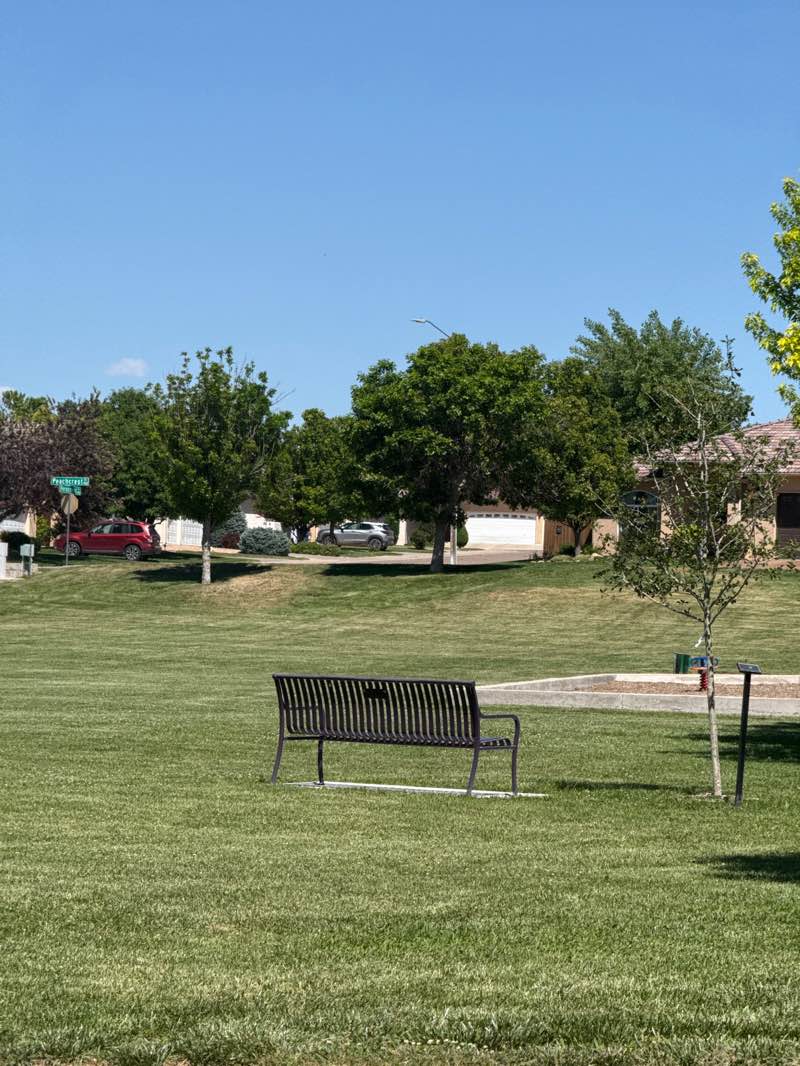 walking near me in Orr Park in summer