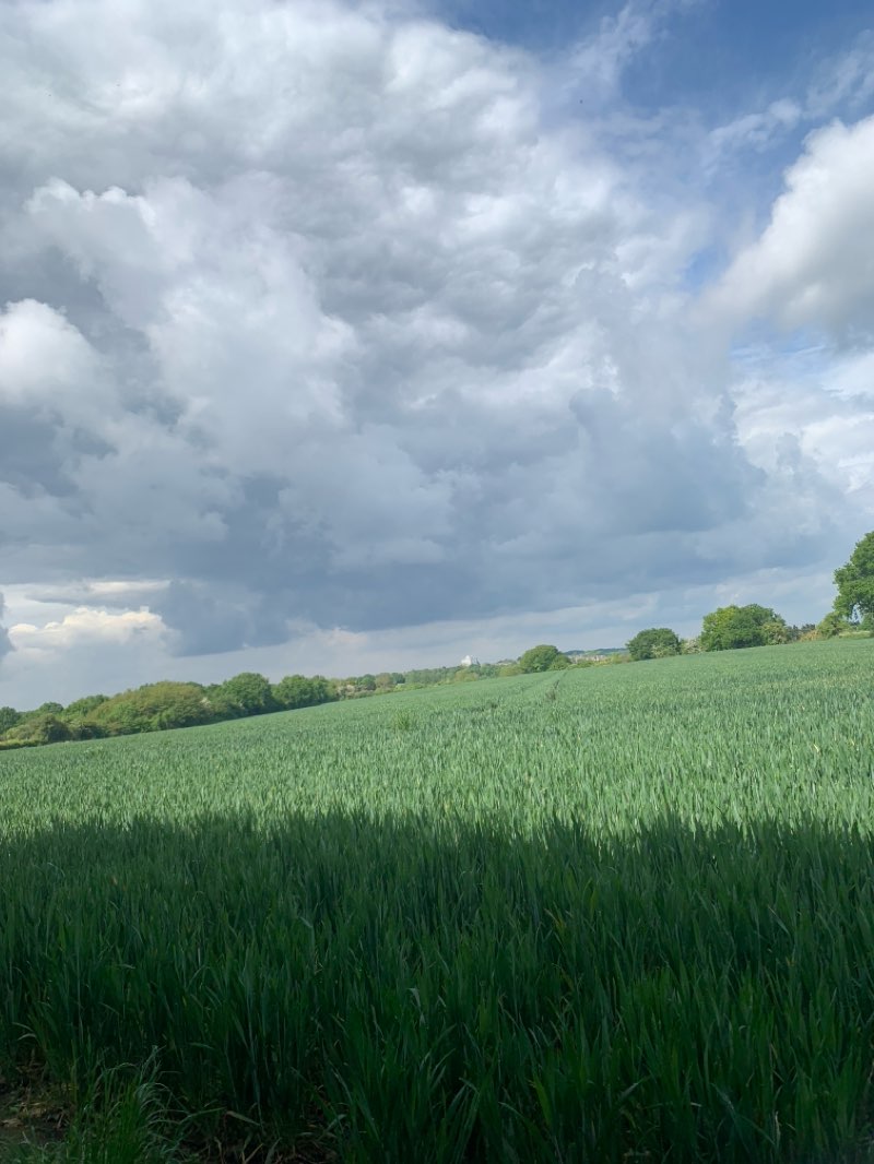 walking near me in Harvest Field Park in winter