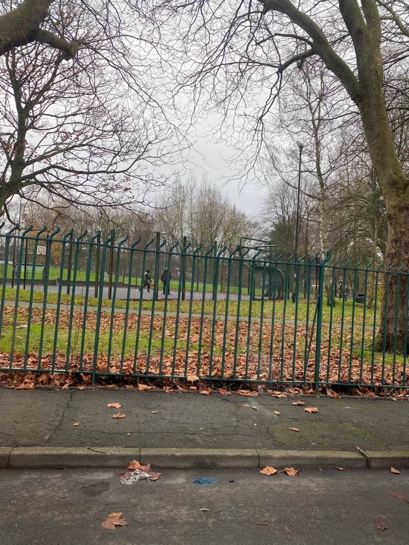 walking near me in Blakenhall Recreation Ground in winter