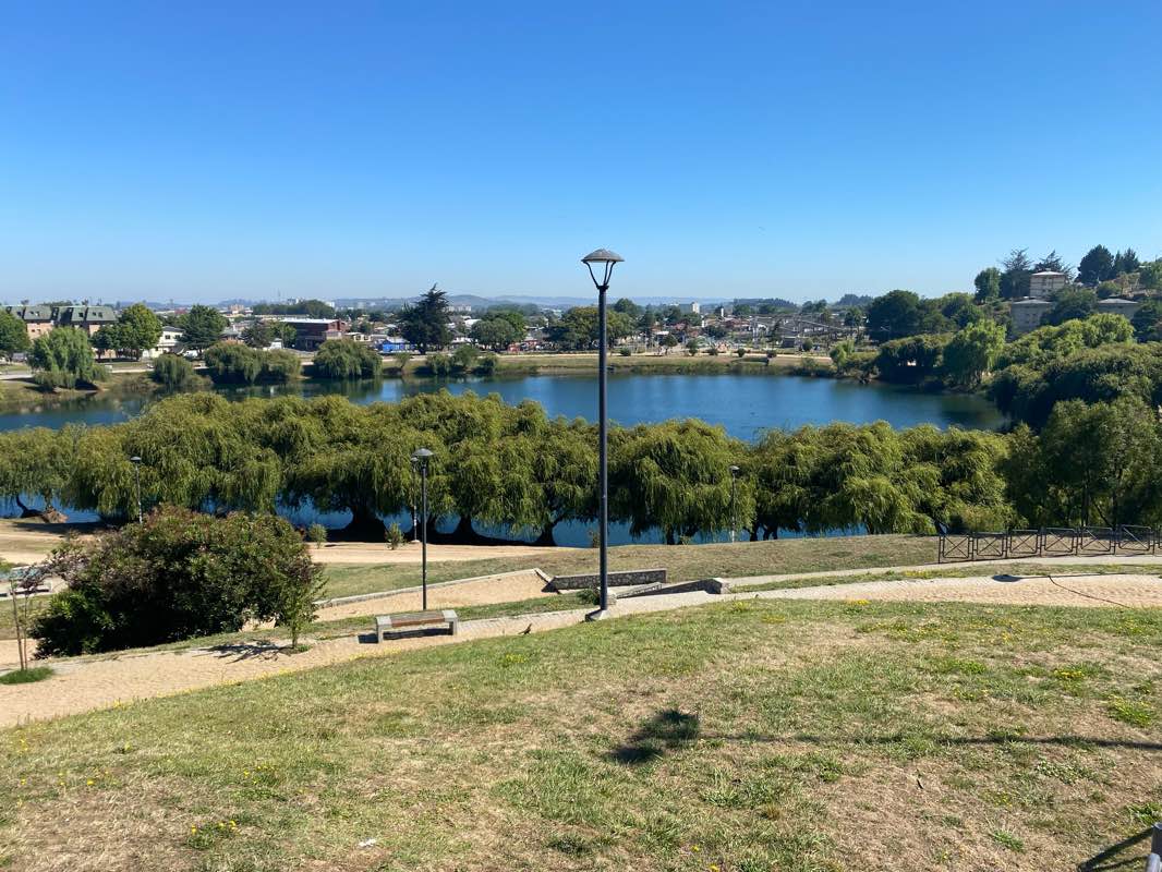 walking near me in Parque Grecia in summer