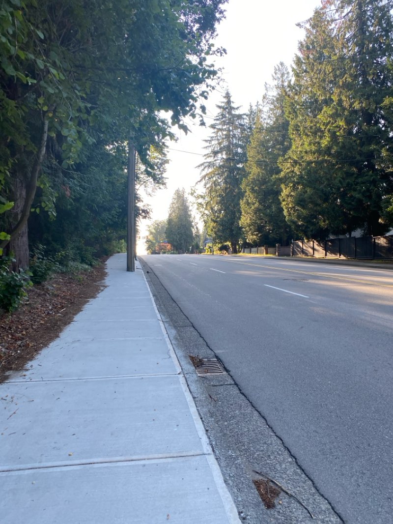 walking near me in Colony Farm Regional Park in winter