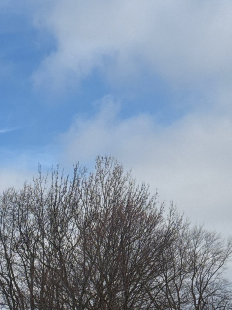 walking near me in Cresthaven Park in winter