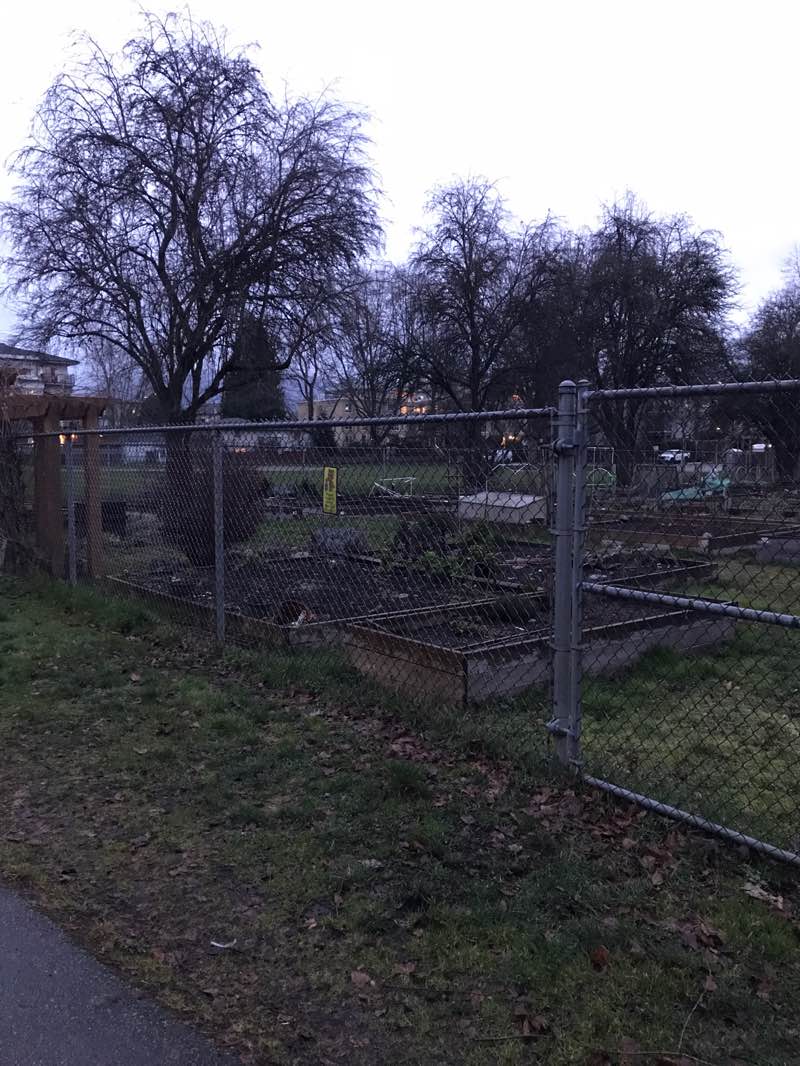 walking near me in Central Park in spring