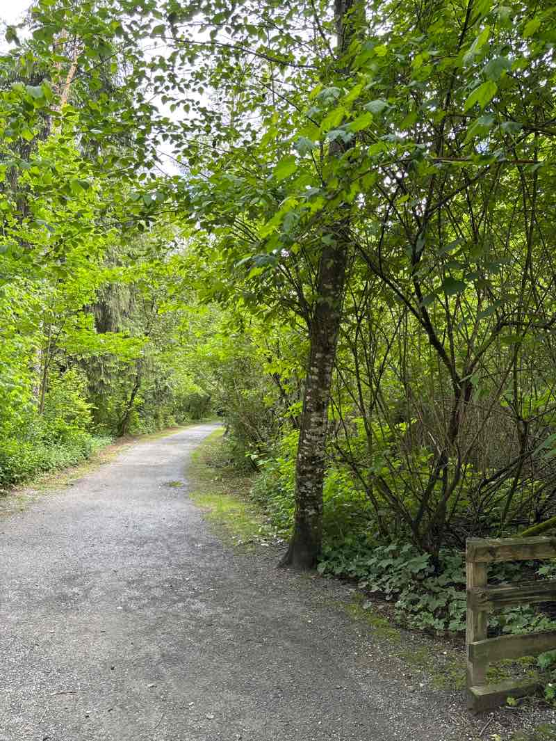 walking near me in Aldergrove Regional Park in spring