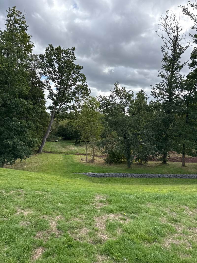 walking near me in Swanshurst Park in autumn