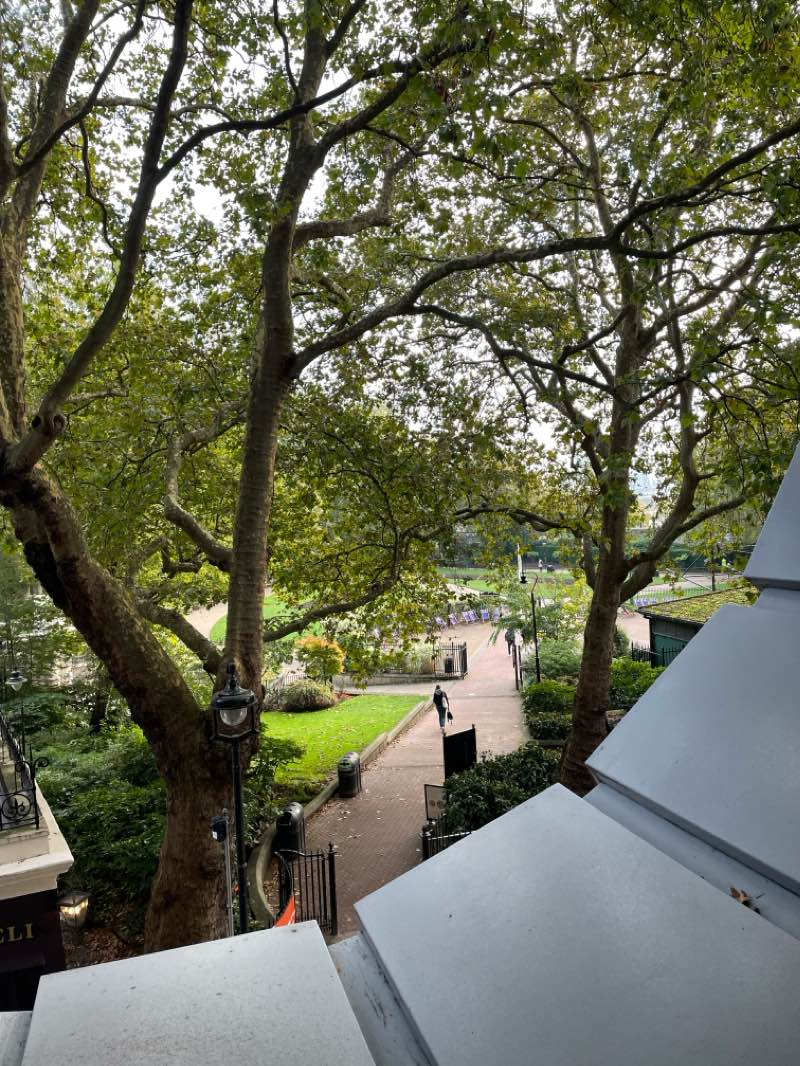 walking near me in Victoria Embankment Gardens in winter