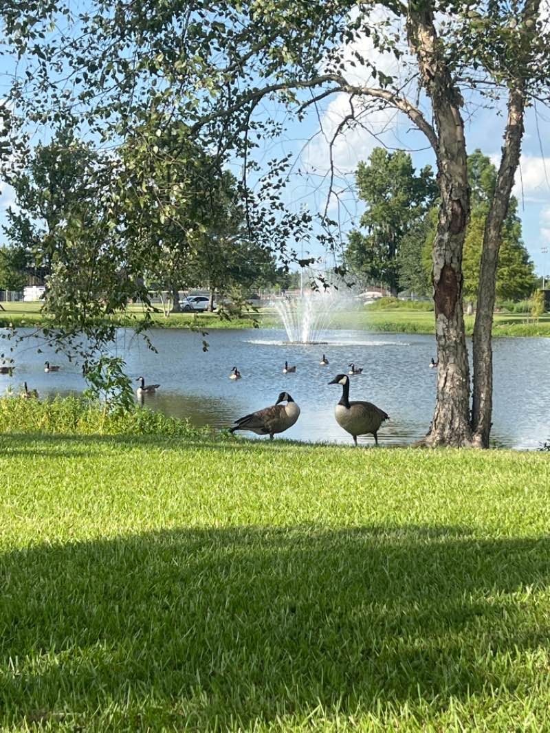 walking near me in North Park in winter