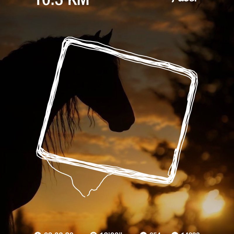 عبدالمجيد الدعفس حايل post 1