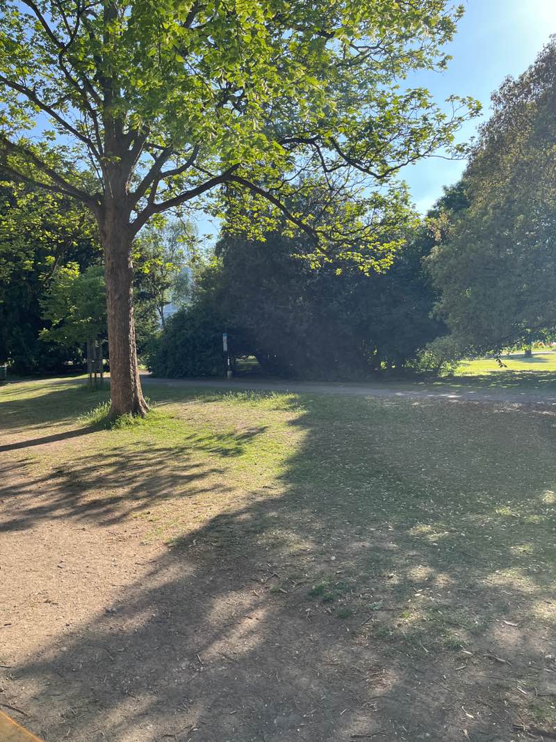 walking near me in Pittville Park in spring