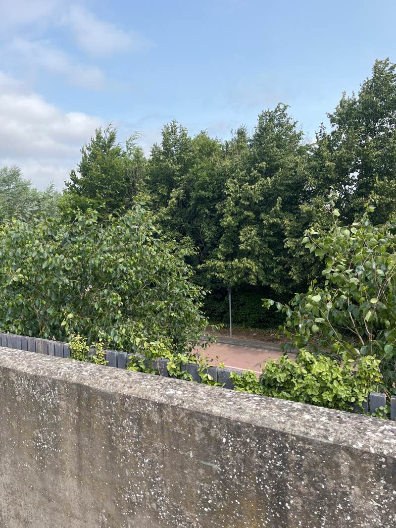 walking near me in Pittville Crescent in spring