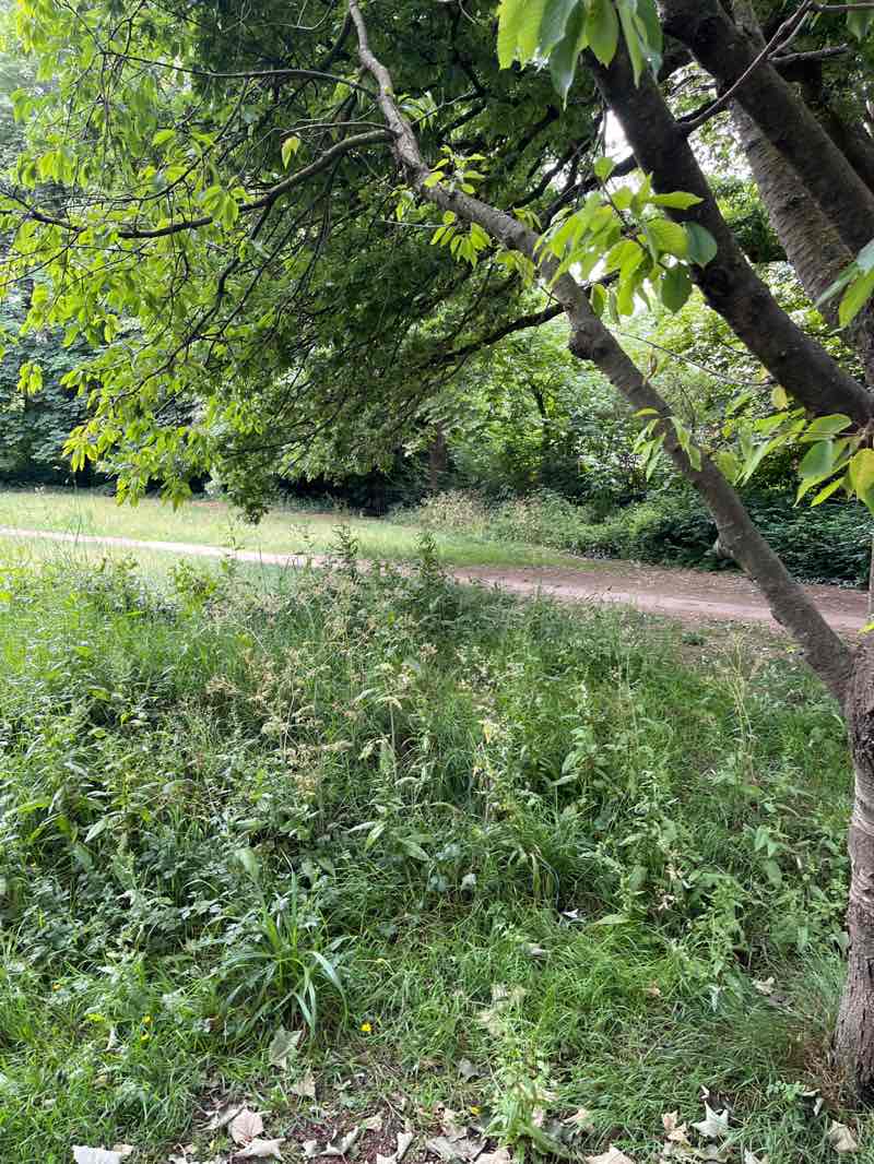 walking near me in Chelt Walk in summer