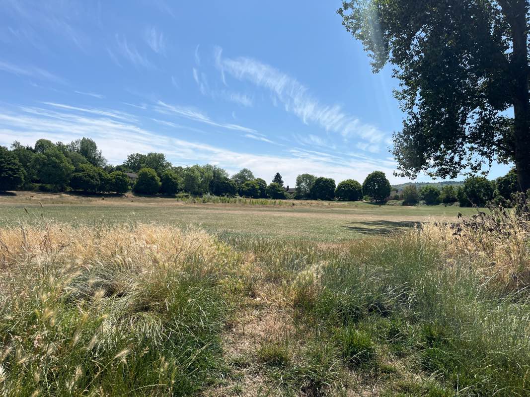 walking near me in Queen Elizabeth II Playing Field in summer
