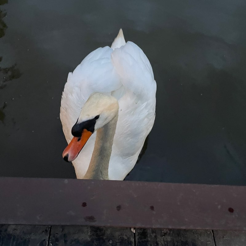 Natu🌺sik681 post 2