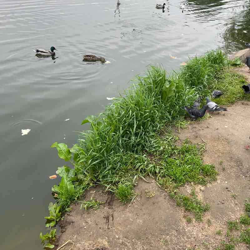 Natu🌺sik681 post 2