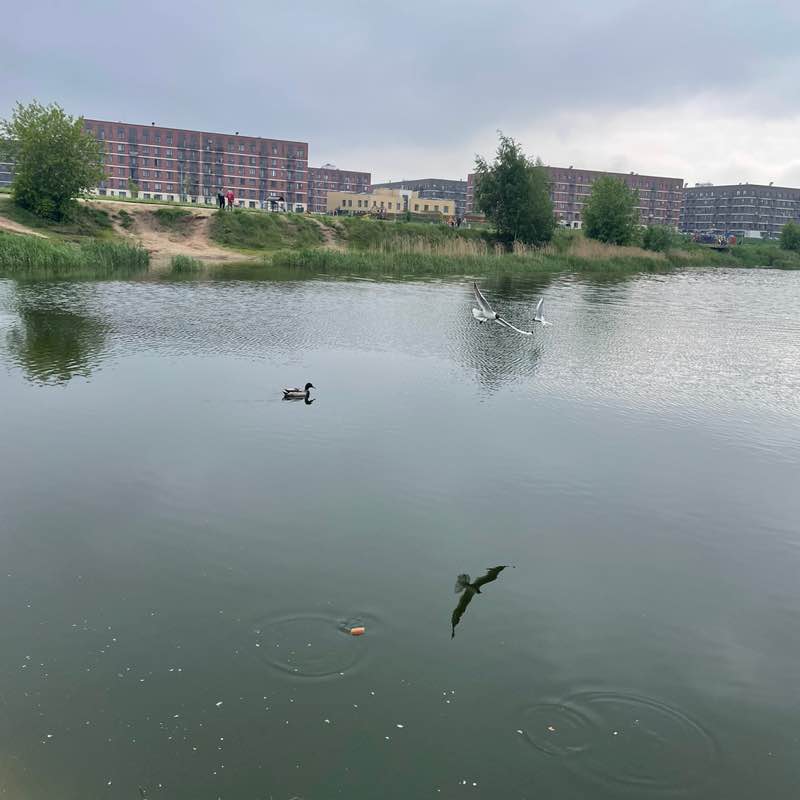 Natu🌺sik681 post 1