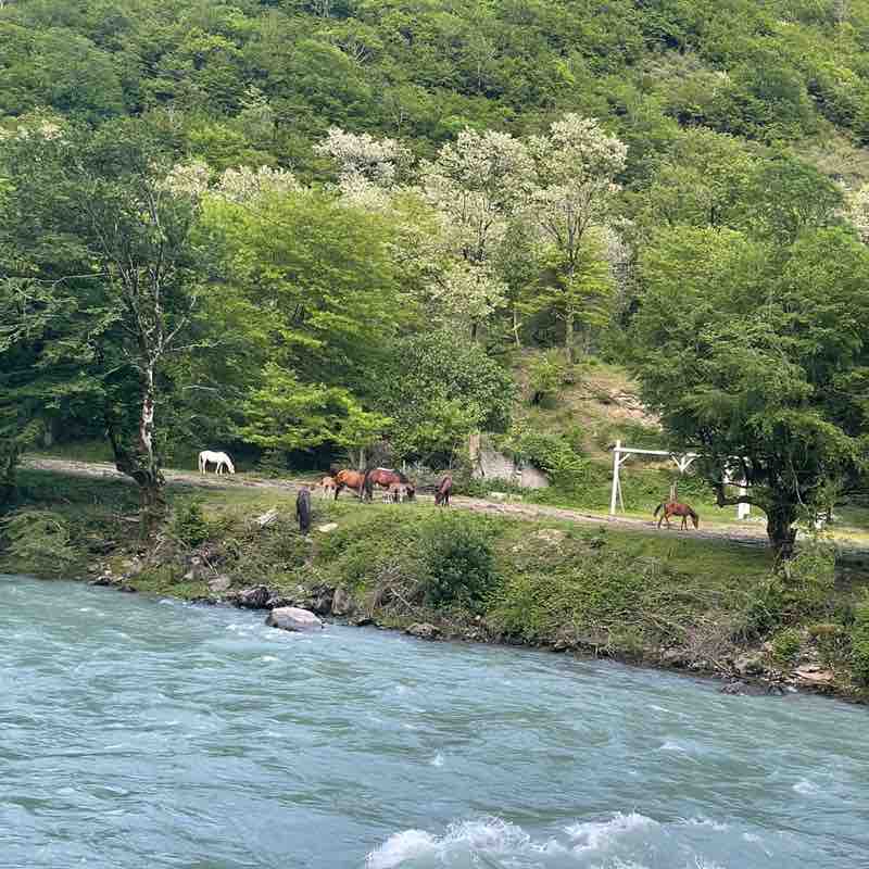 Natu🌺sik681 post 3