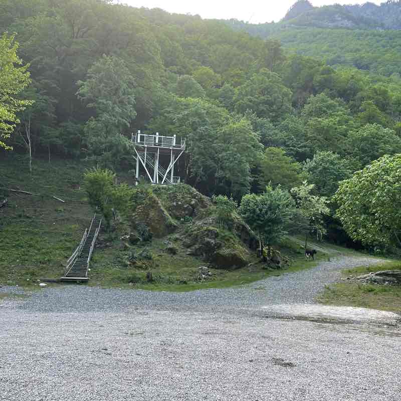 Natu🌺sik681 post 1