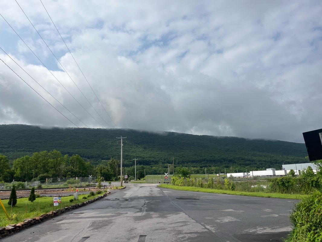 walking near me in Frank L. Taggart Memorial Park in summer