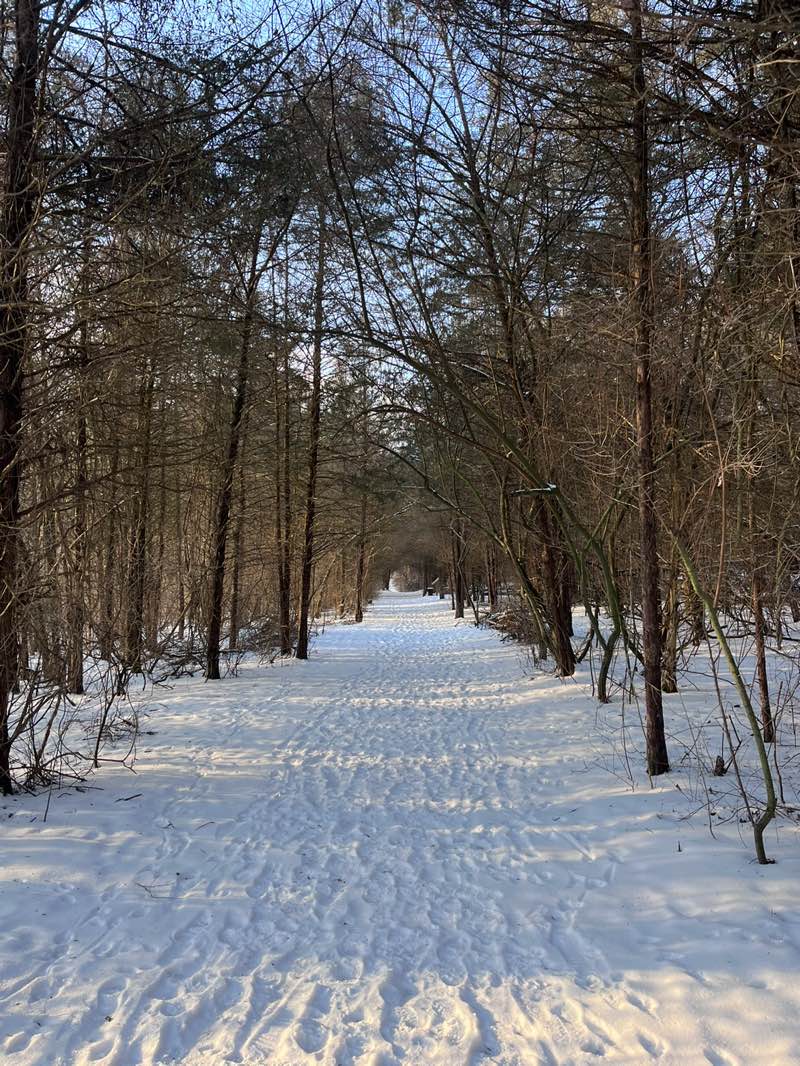 walking near me in Eden Mills Park in winter
