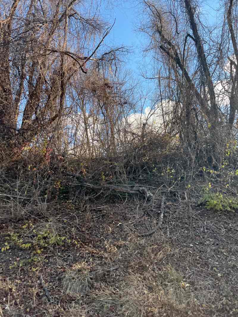 walking near me in Muddy Run in autumn