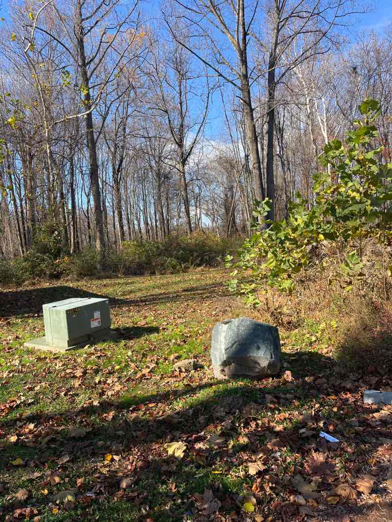 walking near me in Emily Bayless Graham Park in autumn