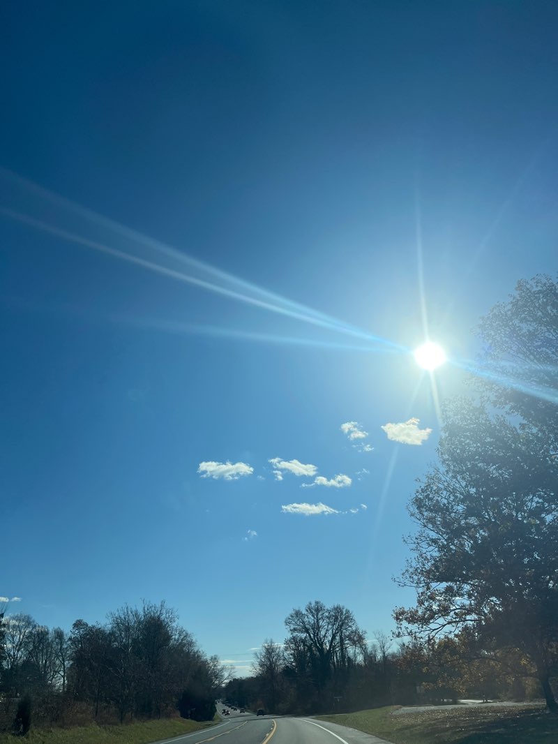 walking near me in Reckord Road Park in autumn