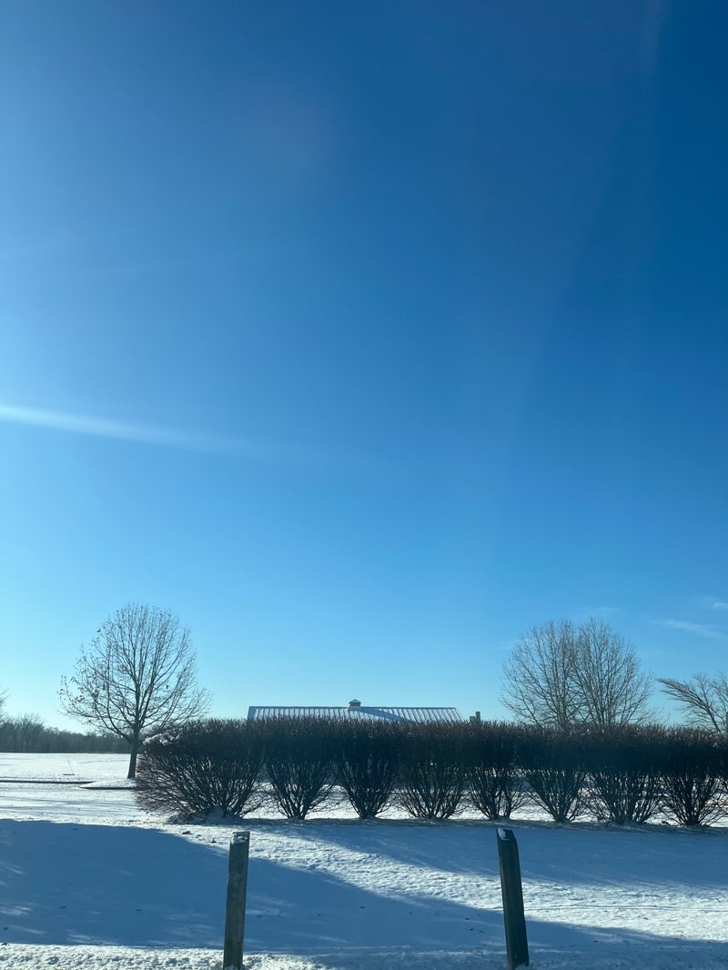walking near me in Hydes Road Park in winter