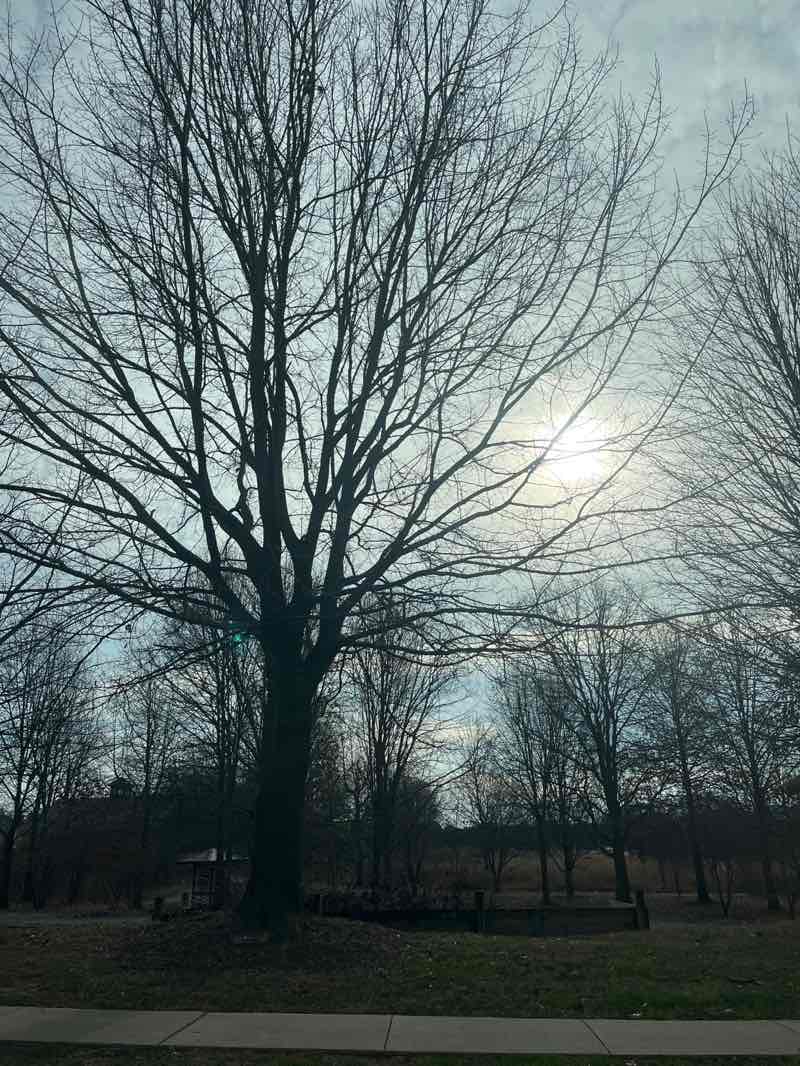walking near me in Strasburg Jaycee Park in winter